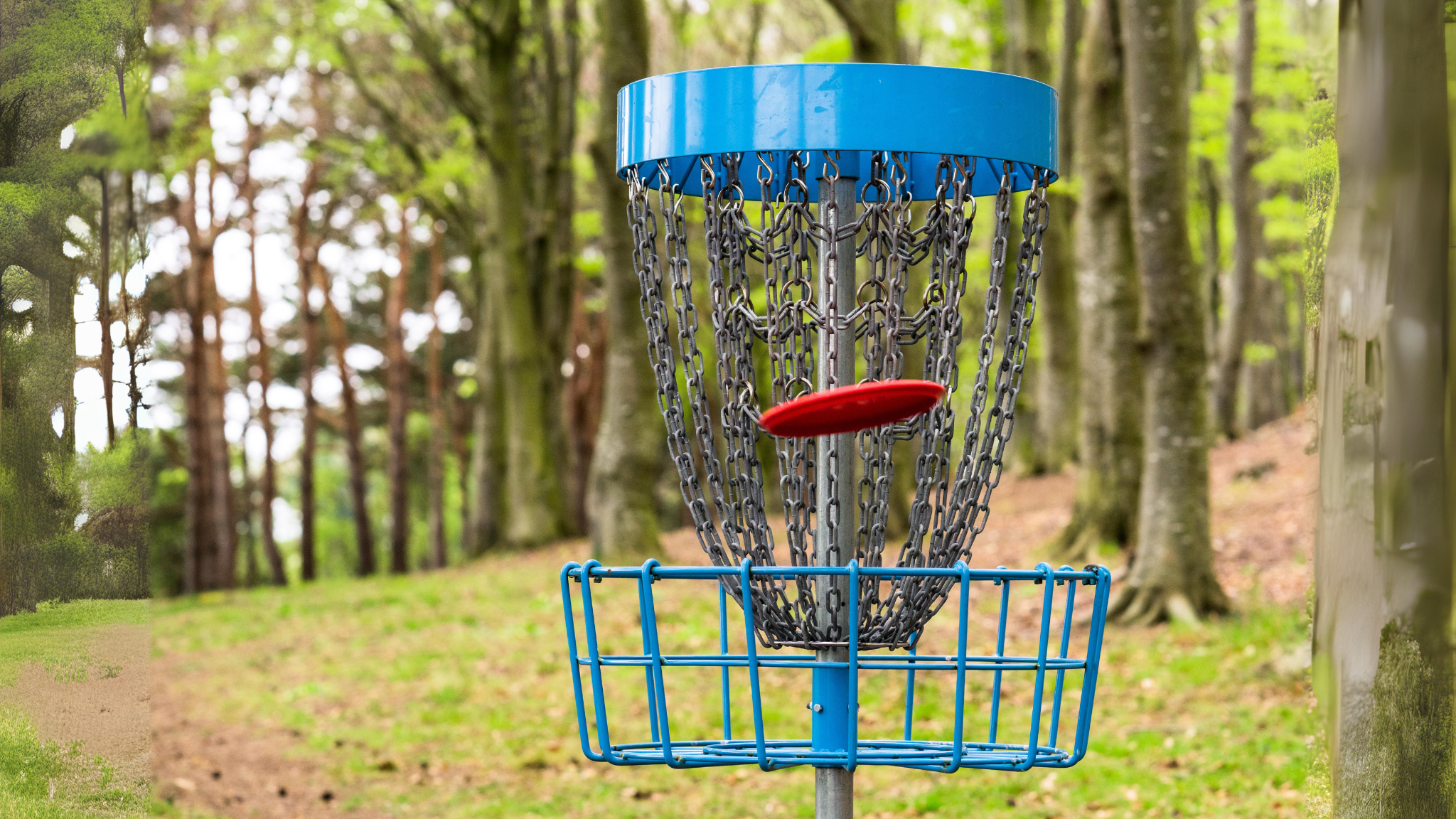 Kom igång med Discgolf: Välj Rätt Utrustning för en Perfekt Start!